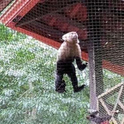 Full Terrace Net in Tirupur